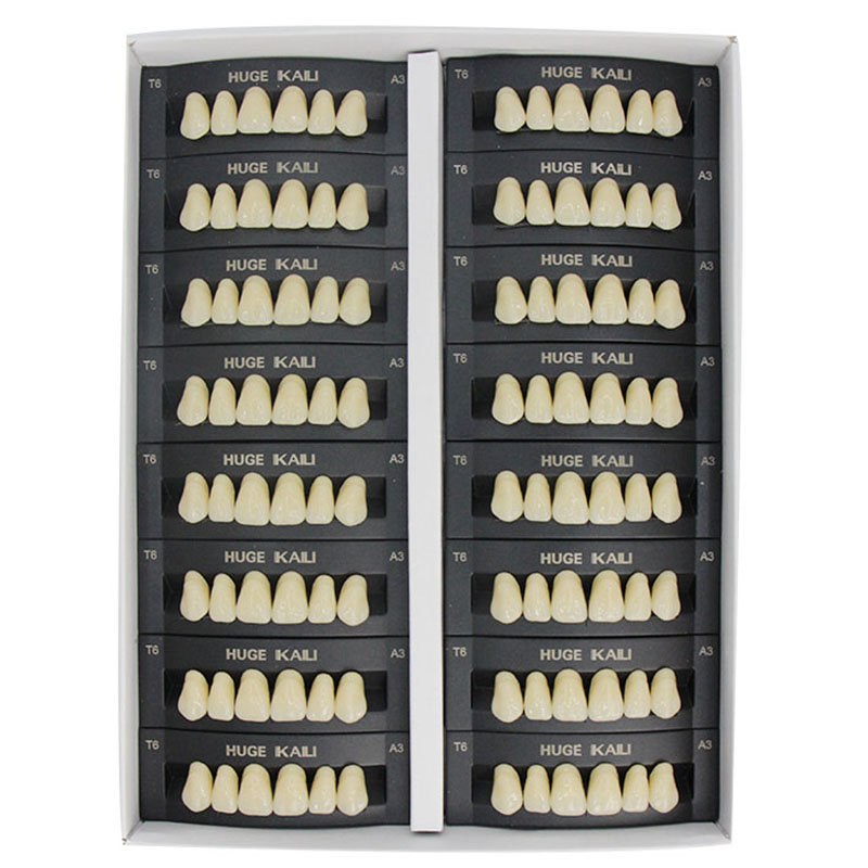 Resin Art Case - 4/12/16 セット/箱歯科樹脂歯後部前部全口義歯歯大型サイズ 2 層経済的な歯