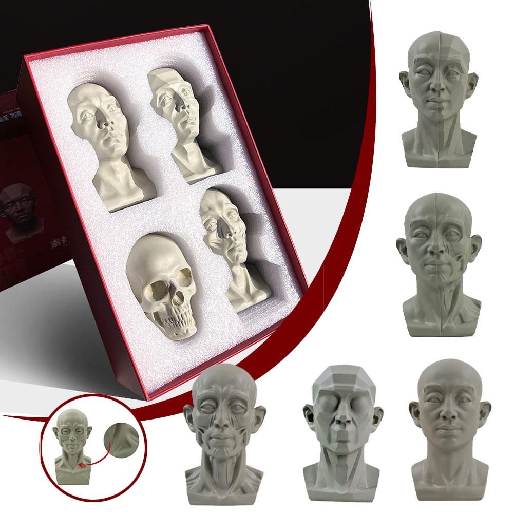 プラスターポートレート教育補助具、シミュレーションフラット、 - Resin Art Learning のレビューと価格